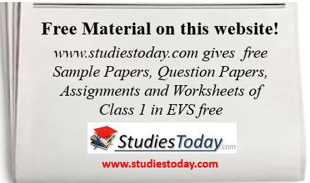 class_1_evs_questions_cbse_book_sample_papers