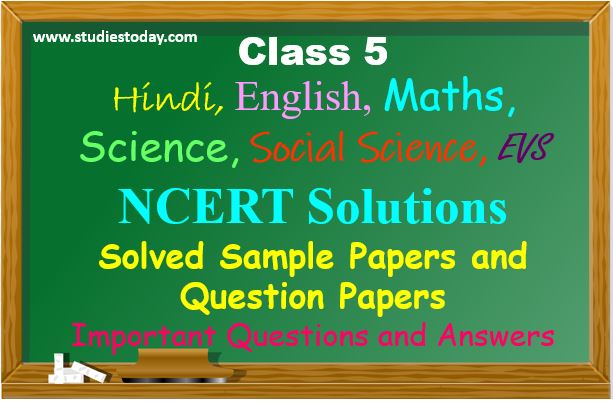 class_5_ncert_solutions_sample_papers_worksheets