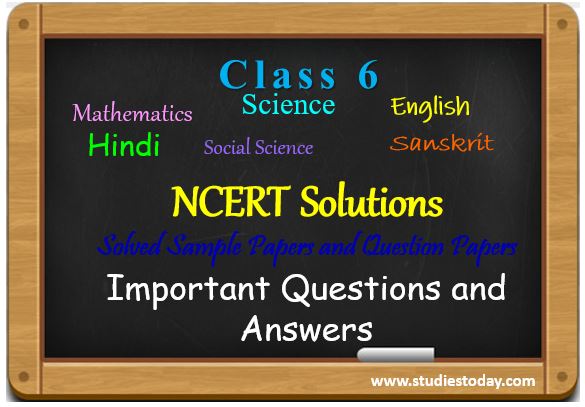class_6_ncert_solutions_ncert_book_sample_papers